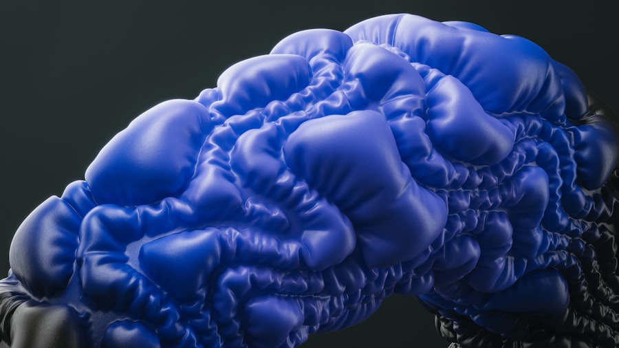 Brain-Gut Connection