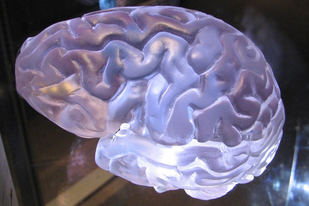 The Gut-Brain Connection: How Digestion Impacts Mood