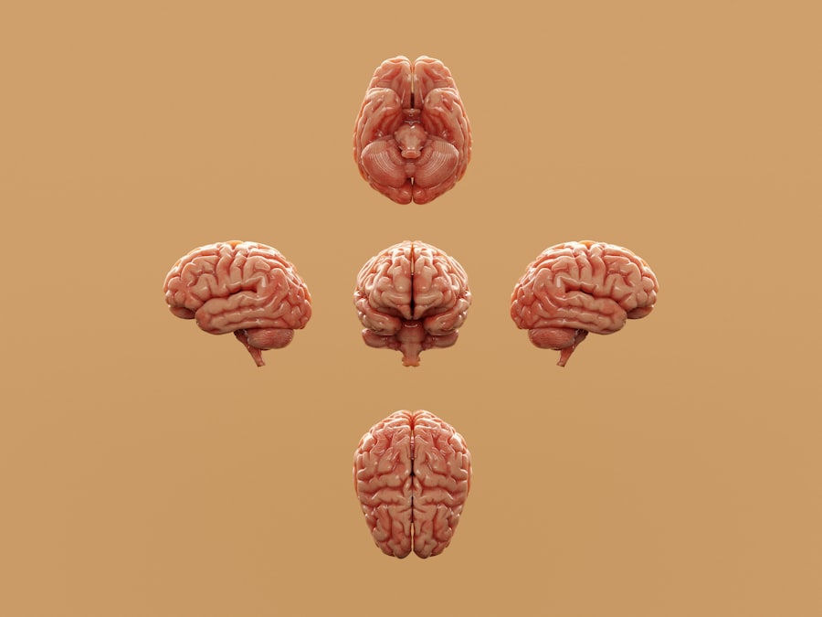 Photo Brain-Gut Connection