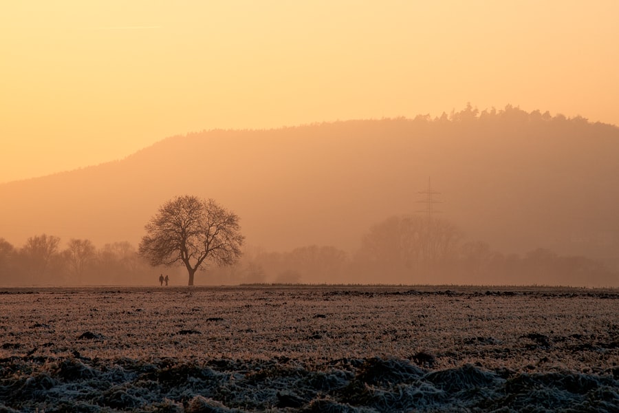 Photo Sunset walk