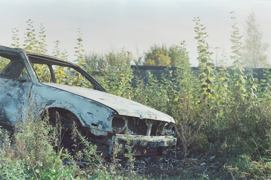 Photo iib insurance