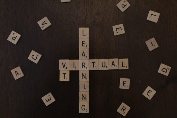 Unveiling the Psychology of Avatar-Based Learning in K-12 Virtual Schools